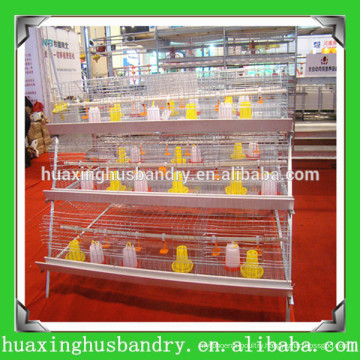 direct manufacturer and popular price poultry chicks
